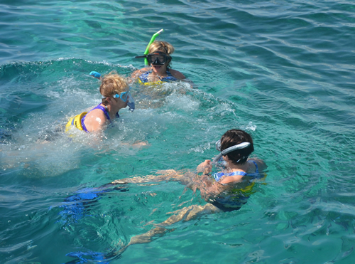 Reef Explorer Snorkelling